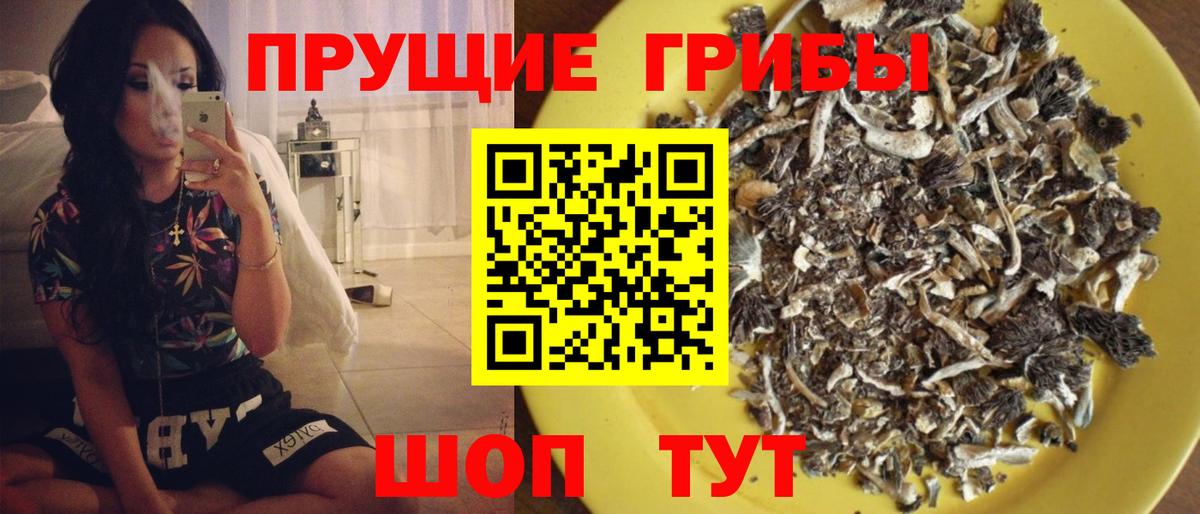 Галлюциногенные грибы мицелий Ипатово