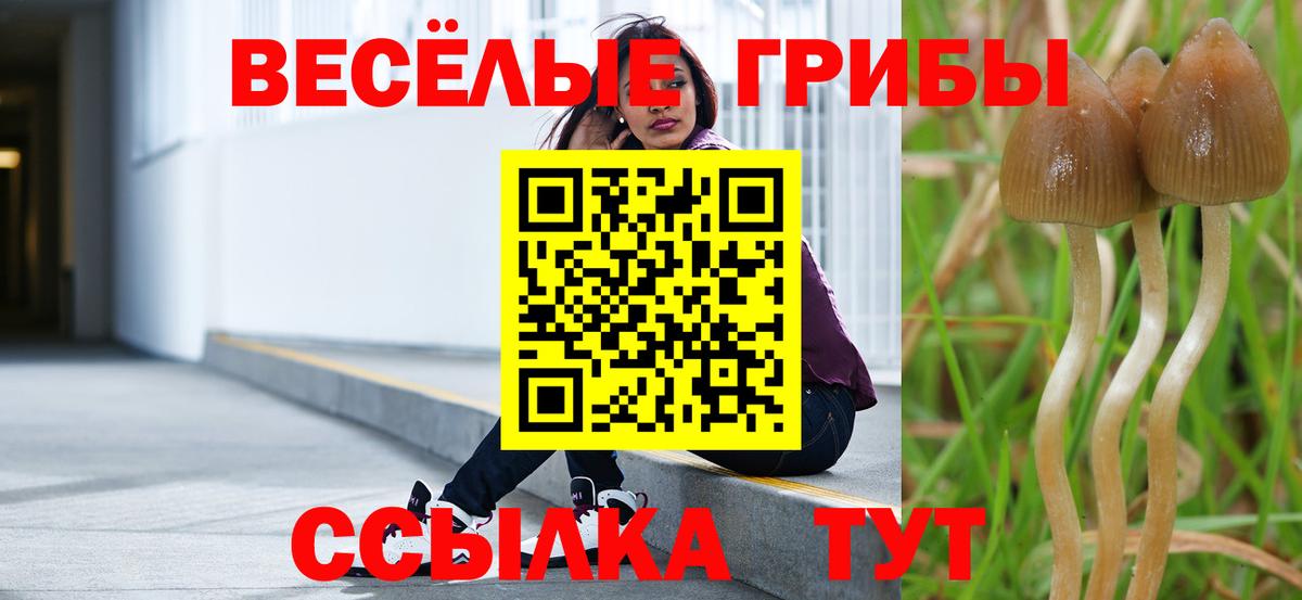 Ипатово  Галлюциногенные грибы мицелий  купить наркоту  Псилоцибиновые грибы Magic Shrooms  Вход с VPN 
